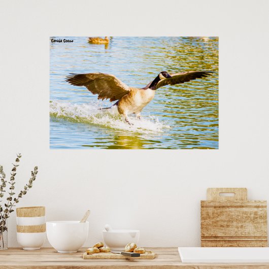 カナダグース ポスター (キッチン)