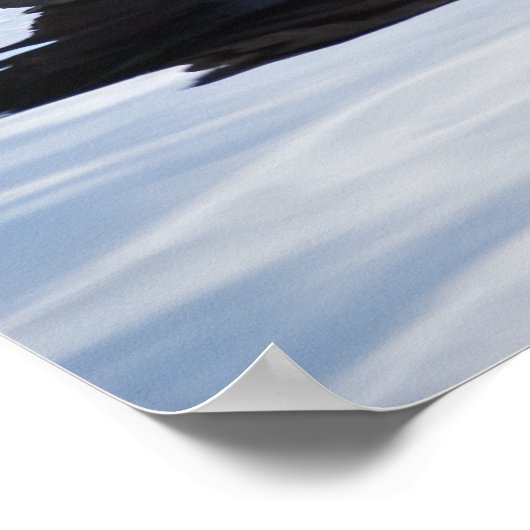 カナダグース ポスター (角)