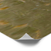 カナダグース ポスター (角)