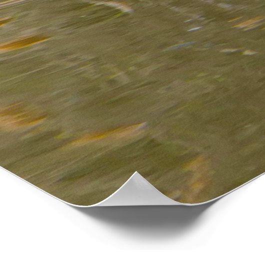 カナダグース ポスター (角)