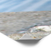 カナダグース ポスター (角)