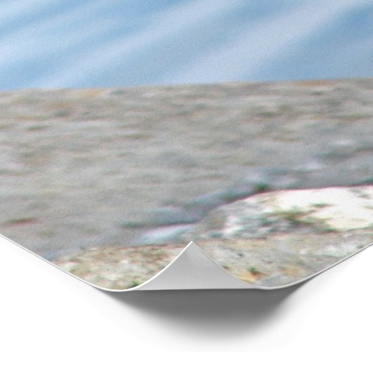 カナダグース ポスター (角)