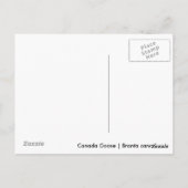 カナダグース ポストカード (裏面)