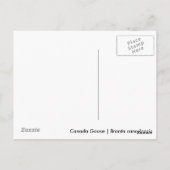 カナダグース ポストカード (裏面)