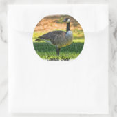 カナダグース ラウンドシール (バッグ)