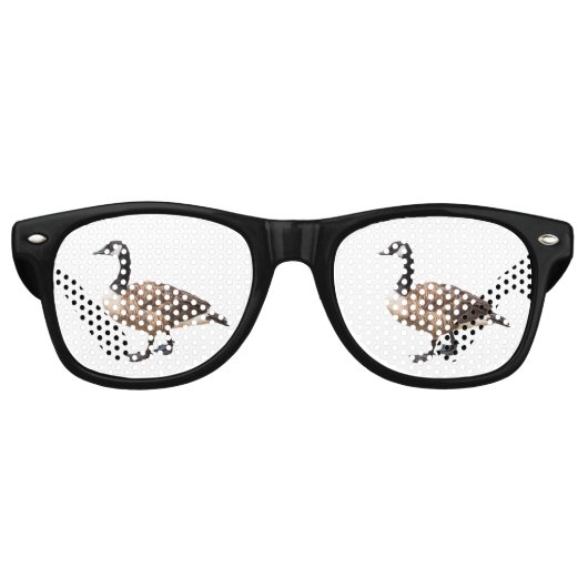 カナダグース レトロサングラス (正面)