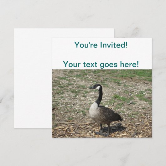 カナダグース 招待状 (正面/裏面)