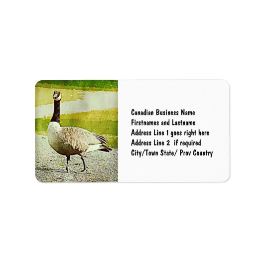 カナダグース – 水彩絵を描効 ラベル (正面)