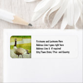 カナダグース – 水彩絵を描効 ラベル (インサイチュ)