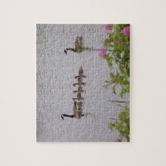 カナダゲーズファミリースイミングジグソーパズル ジグソーパズル (縦)