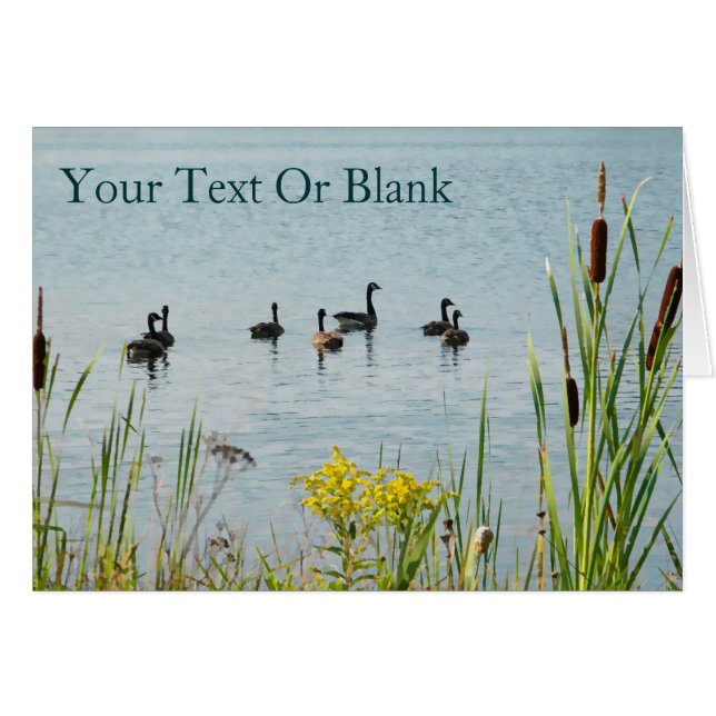 カナダゲーゼとカタテール (正面横)