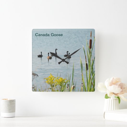 カナダゲーゼとカタテール スクエア壁時計 (ホーム)