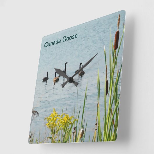 カナダゲーゼとカタテール スクエア壁時計 (傾斜)