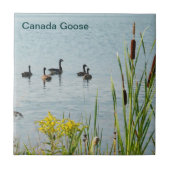 カナダゲーゼとカタテール タイル (正面)