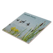 カナダゲーゼとカタテール タイル (側面)