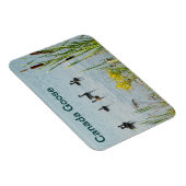 カナダゲーゼとカタテール マグネット (右側)