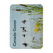 カナダゲーゼとカタテール マグネット (縦)