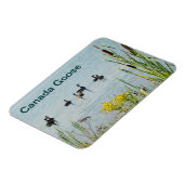 カナダゲーゼとカタテール マグネット (左側)