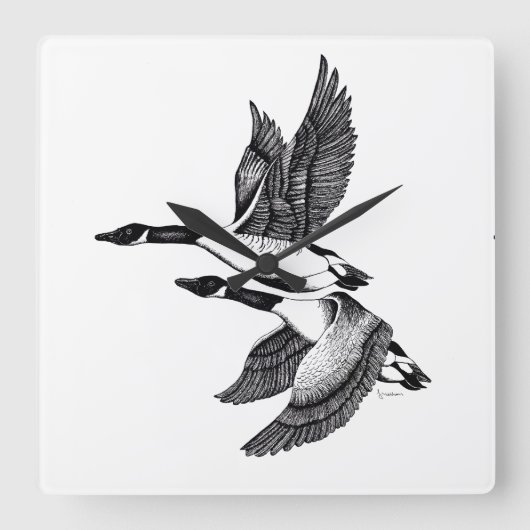 カナダゲーゼの白黒イラストレーション スクエア壁時計 (正面)