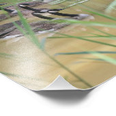 カナダゲーゼセストリートマーシュ10x8自然 フォトプリント            (角)