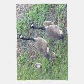 カナダゲーゼ科 キッチンタオル (縦)