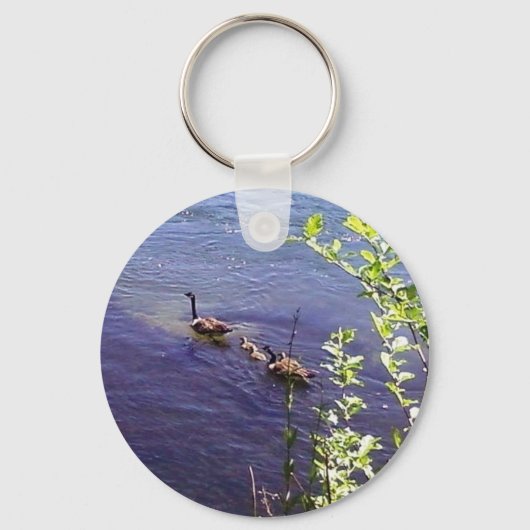 カナダゲーゼ科 キーホルダー (正面)