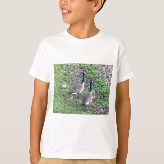 カナダゲーゼ科 Tシャツ (正面)
