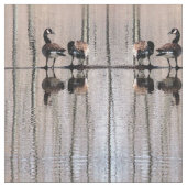 カナダゲーゼ織物 ファブリック (クローズアップ)