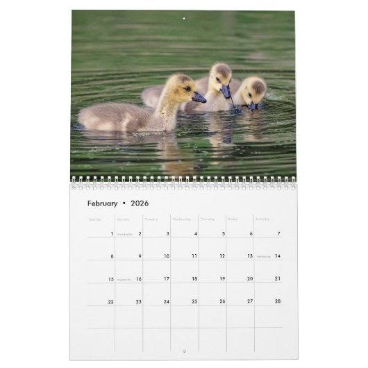 カナダゲーゼ2026 カレンダー (2月 2026)