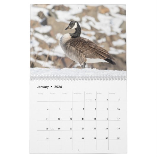 カナダゲーゼ2026 カレンダー (1月 2026)