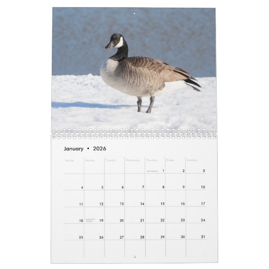 カナダゲーゼ2026 カレンダー (1月 2026)