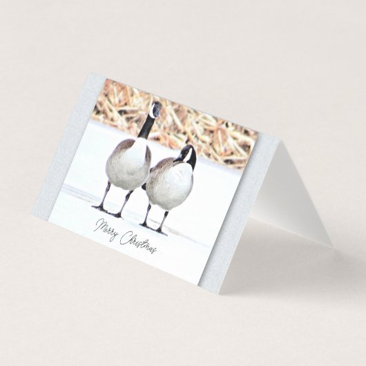 カナダゲーゼ2 空白の - (正面)