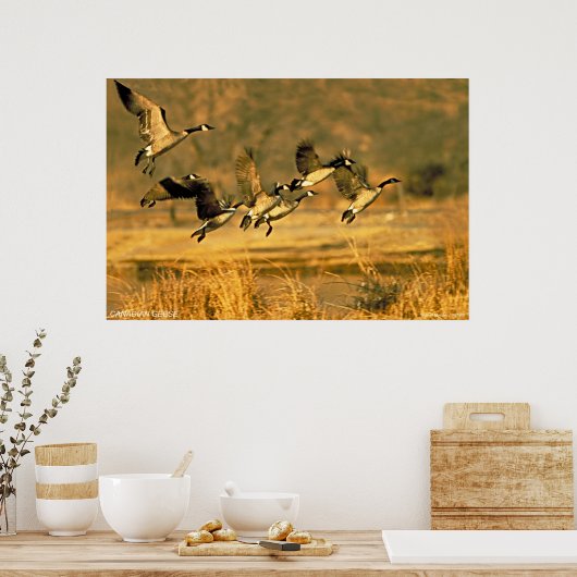 カナダゲーゼ ポスター (キッチン)