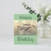 カナダゲーゼ ポストカード (スタンド正面)