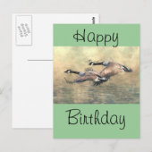 カナダゲーゼ ポストカード (正面/裏面)