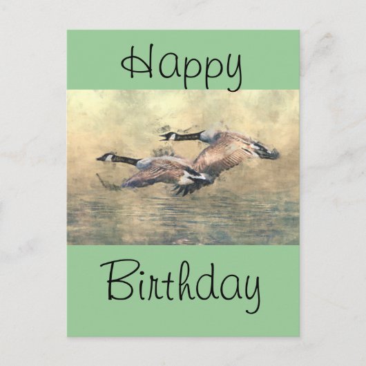 カナダゲーゼ ポストカード (正面)