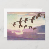 カナダゲーゼin春バイニューウェルコンバーズワイエス ポストカード (正面/裏面)