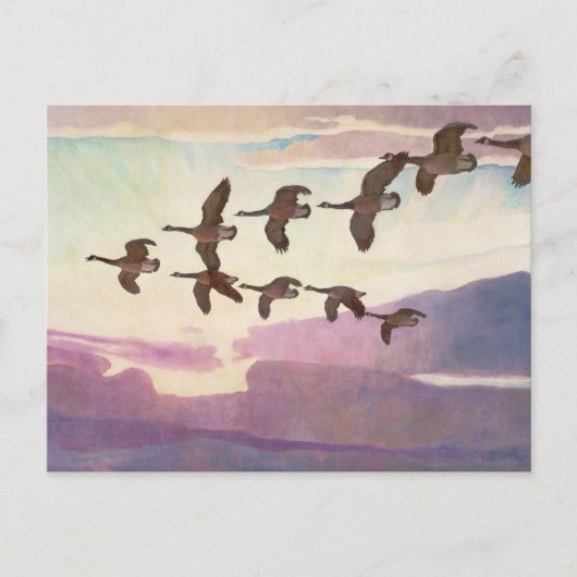 カナダゲーゼin春バイニューウェルコンバーズワイエス ポストカード (正面)