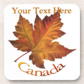 カナダコースター カナダ カエデの葉 コースター (正面)