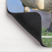 カナダゴス マウスパッド (コーナー)