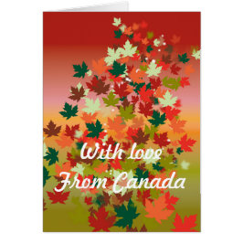 カナダサンセット