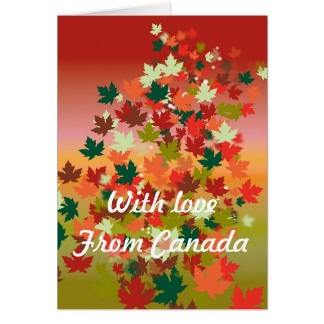 カナダサンセット (正面)