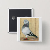 カナダショーチップンブルーグリズル 缶バッジ (正面&裏面)