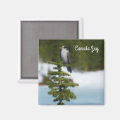 カナダジェイ マグネット (正面/裏面)