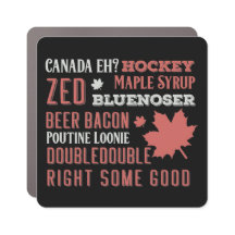 カナダスラング地下鉄アート