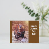 カナダデイビーバー ポストカード (スタンド正面)