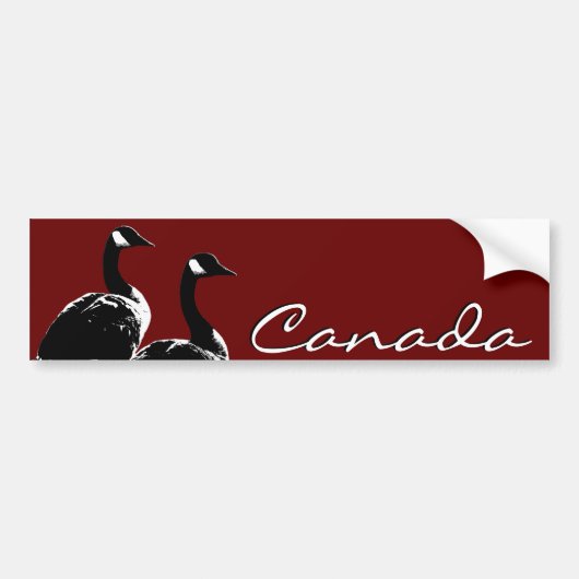 カナダバンパーステッカーCanada Geese Stickers バンパーステッカー (正面)