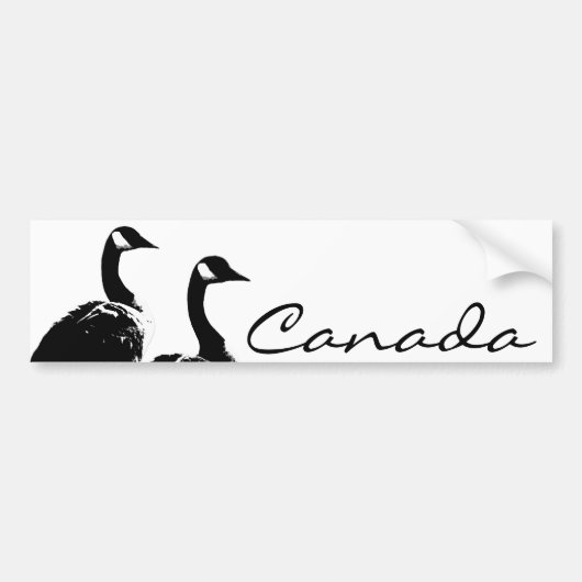 カナダバンパーステッカーCanada Geese Stickers バンパーステッカー (正面)