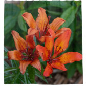 カナダフラワー美しいオレンジデイリリー シャワーカーテン (正面)