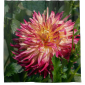 カナダフローラ美しいオレンジキク シャワーカーテン (正面)